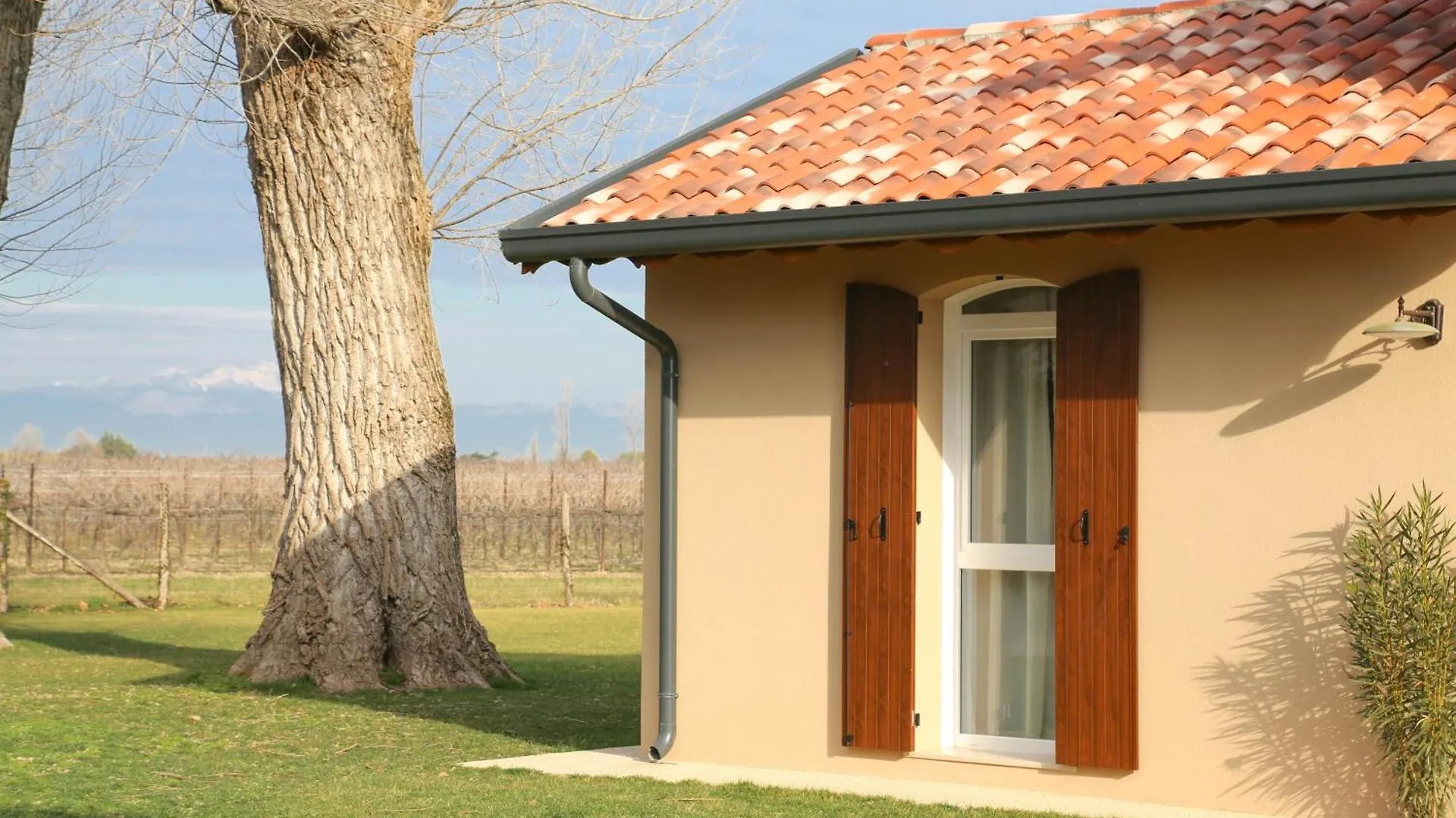 Aparthotel Barchessa Cappelletto Torre di Mosto
